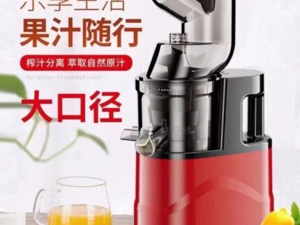 Slow Juicer